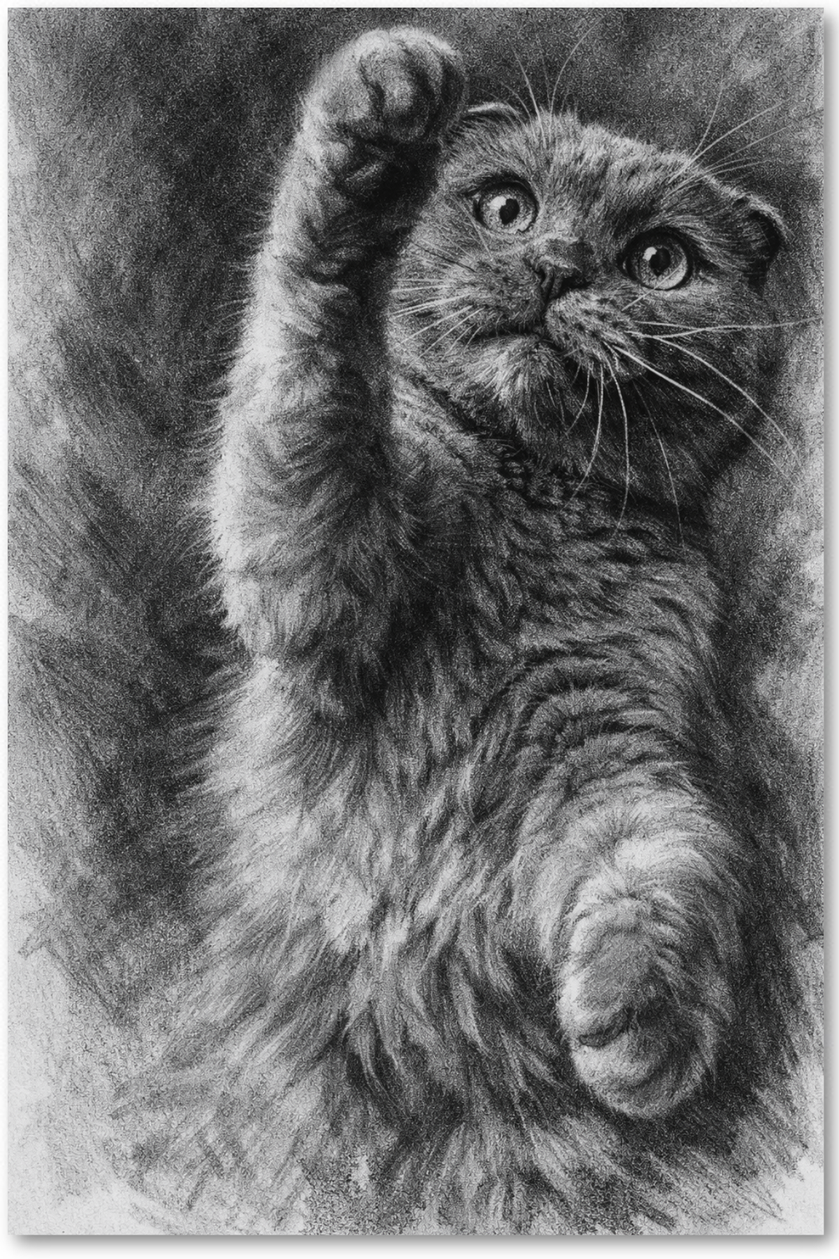 Charcoal Portrait