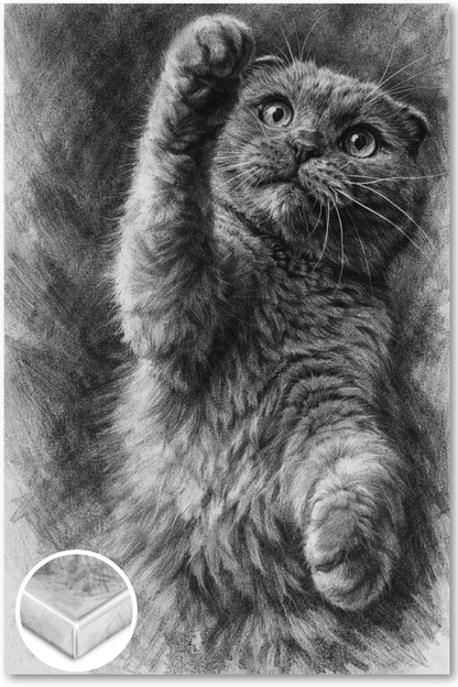 Charcoal Portrait