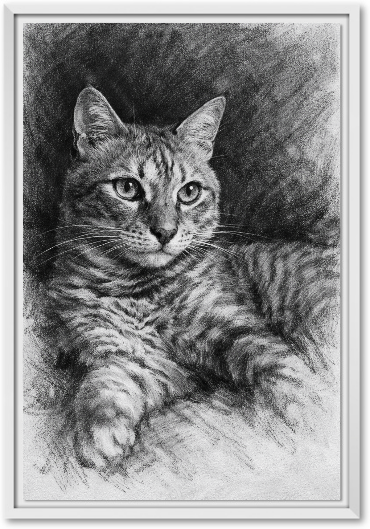 Charcoal Portrait