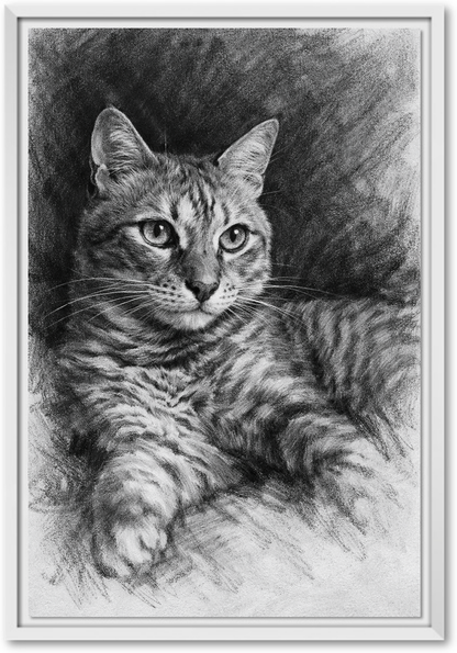 Charcoal Portrait
