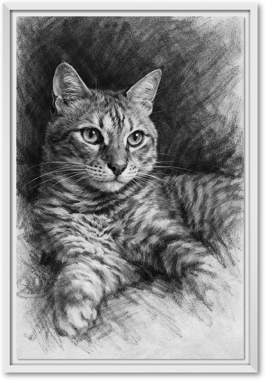 Charcoal Portrait