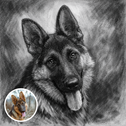 Charcoal Portrait